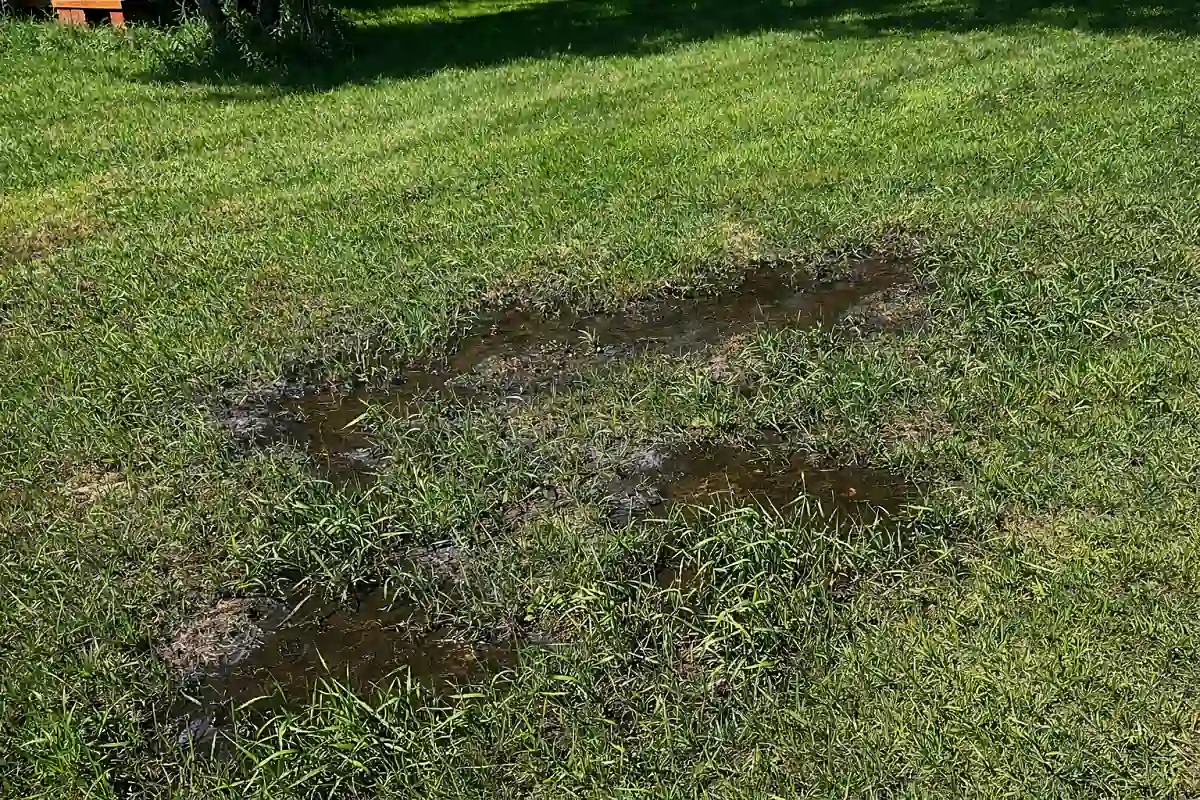 Surface ponding above septic drain field in Alberta